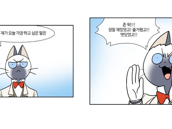 부기영화) 존윅 시리즈를 보고난 고양이의 결론.JPG | 유머 게시판 부기영화) 존윅 시리즈를 보고난 고양이의 결론.Jpg | 유머 게시판
