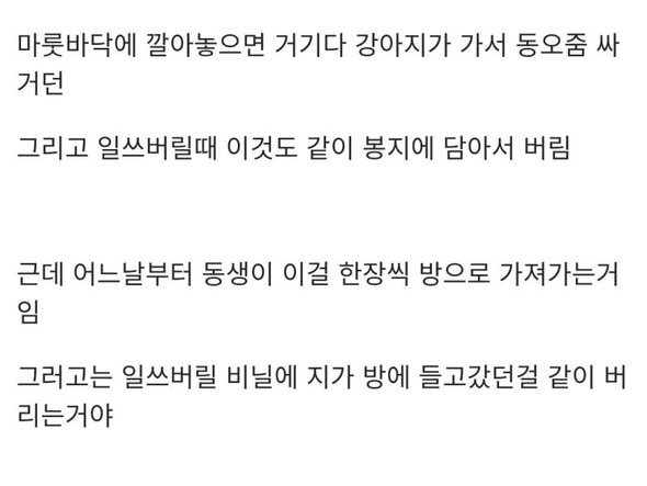 강아지 배변패드 여동생썰. | 유머 게시판