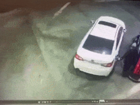 주유소 습격 사건.gif | 유머 게시판 주유소 습격 사건.gif | 유머 게시판 | 루리웹